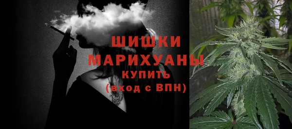 прущие грибы Краснотурьинск