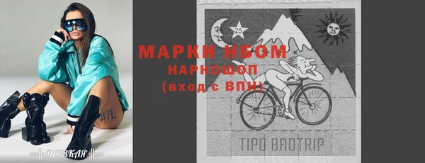 прущие грибы Краснотурьинск