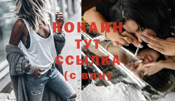 прущие грибы Краснотурьинск