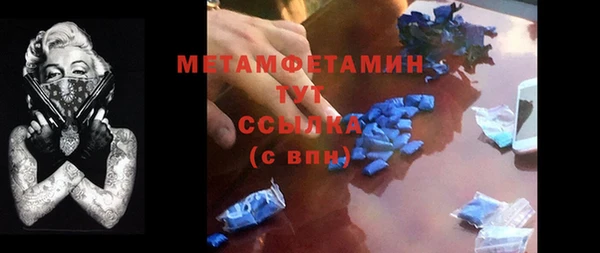 прущие грибы Краснотурьинск
