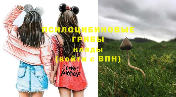 прущие грибы Краснотурьинск
