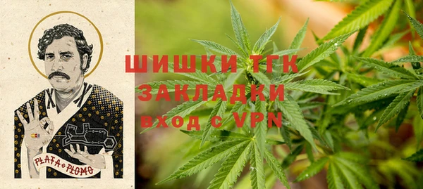 прущие грибы Краснотурьинск